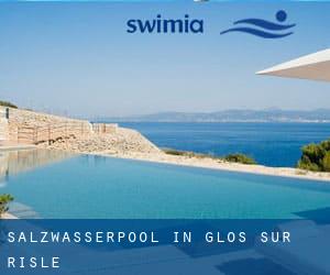 Salzwasserpool in Glos-sur-Risle