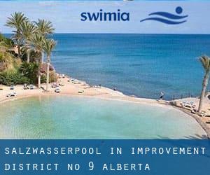 Salzwasserpool in Improvement District No. 9 (Alberta)