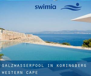 Salzwasserpool in Koringberg (Western Cape)