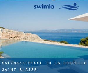 Salzwasserpool in La Chapelle-Saint-Blaise