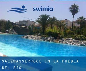 Salzwasserpool in La Puebla del Río