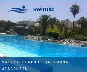 Salzwasserpool in Laona (Wisconsin)