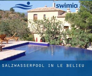 Salzwasserpool in Le Bélieu