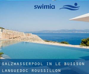 Salzwasserpool in Le Buisson (Languedoc-Roussillon)