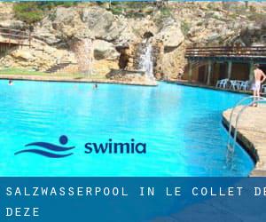 Salzwasserpool in Le Collet-de-Dèze