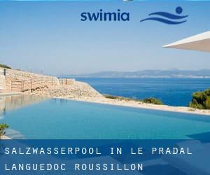 Salzwasserpool in Le Pradal (Languedoc-Roussillon)