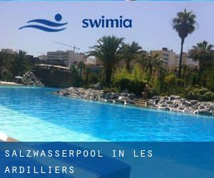 Salzwasserpool in Les Ardilliers