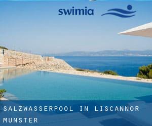 Salzwasserpool in Liscannor (Munster)