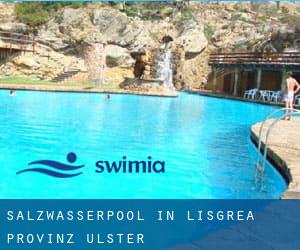 Salzwasserpool in Lisgrea (Provinz Ulster)