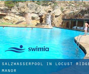 Salzwasserpool in Locust Ridge Manor