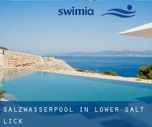 Salzwasserpool in Lower Salt Lick