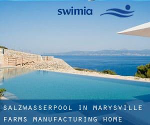 Salzwasserpool in Marysville Farms Manufacturing Home Community