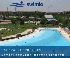 Salzwasserpool in Mittelstenahe (Niedersachsen)