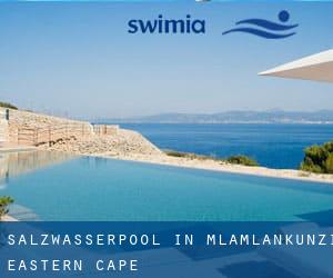 Salzwasserpool in Mlamlankunzi (Eastern Cape)