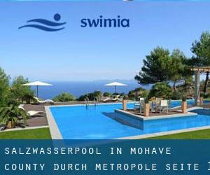 Salzwasserpool in Mohave County durch Metropole - Seite 1