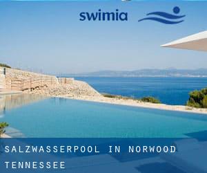 Salzwasserpool in Norwood (Tennessee)