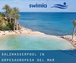 Salzwasserpool in Orpesa/Oropesa del Mar