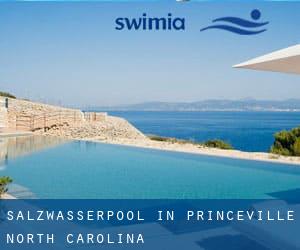 Salzwasserpool in Princeville (North Carolina)