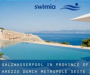 Salzwasserpool in Province of Arezzo durch Metropole - Seite 1