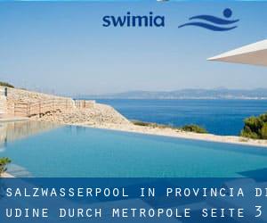 Salzwasserpool in Provincia di Udine durch Metropole - Seite 3