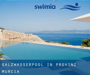 Salzwasserpool in Provinz Murcia