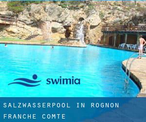 Salzwasserpool in Rognon (Franche-Comté)