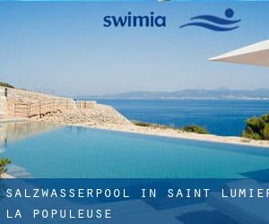 Salzwasserpool in Saint-Lumier-la-Populeuse