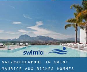 Salzwasserpool in Saint-Maurice-aux-Riches-Hommes