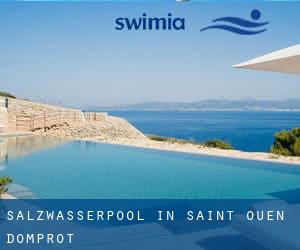 Salzwasserpool in Saint-Ouen-Domprot