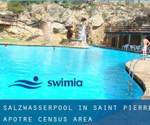 Salzwasserpool in Saint-Pierre-Apôtre (census area)