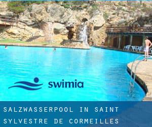 Salzwasserpool in Saint-Sylvestre-de-Cormeilles