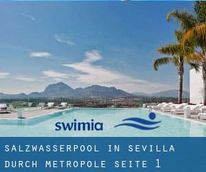 Salzwasserpool in Sevilla durch Metropole - Seite 1