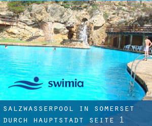 Salzwasserpool in Somerset durch Hauptstadt - Seite 1