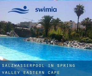 Salzwasserpool in Spring Valley (Eastern Cape)