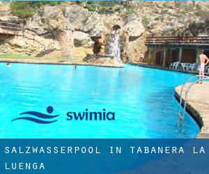 Salzwasserpool in Tabanera la Luenga