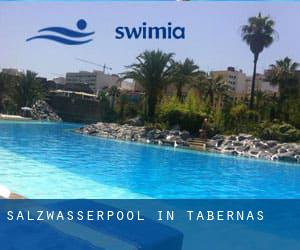 Salzwasserpool in Tabernas