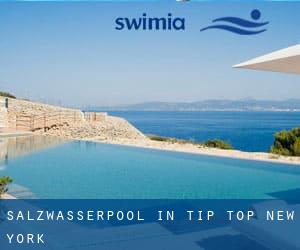 Salzwasserpool in Tip Top (New York)