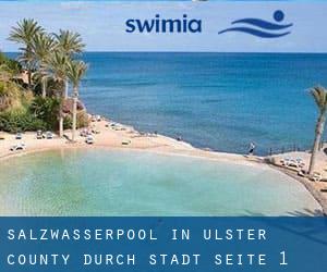 Salzwasserpool in Ulster County durch Stadt - Seite 1