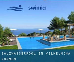 Salzwasserpool in Vilhelmina Kommun