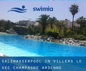 Salzwasserpool in Villers-le-Sec (Champagne-Ardenne)