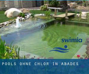 Pools-ohne-chlor in Abades