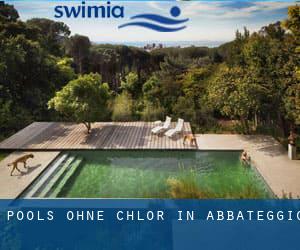 Pools-ohne-chlor in Abbateggio