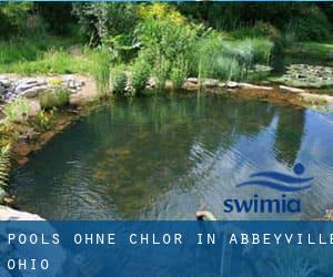 Pools-ohne-chlor in Abbeyville (Ohio)