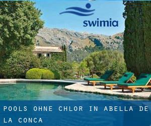 Pools-ohne-chlor in Abella de la Conca