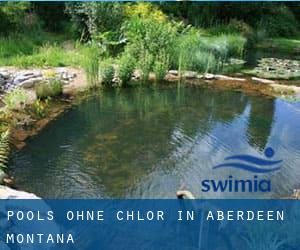 Pools-ohne-chlor in Aberdeen (Montana)