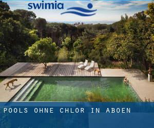 Pools-ohne-chlor in Aboën