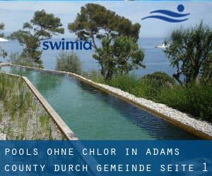 Pools-ohne-chlor in Adams County durch Gemeinde - Seite 1