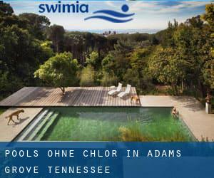 Pools-ohne-chlor in Adams Grove (Tennessee)