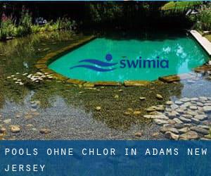 Pools-ohne-chlor in Adams (New Jersey)