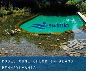 Pools-ohne-chlor in Adams (Pennsylvania)